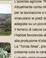 azienda agricola 