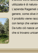 olio extravergine