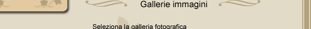 galleria immagini
