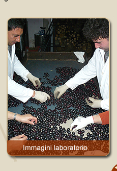 immagini laboratorio