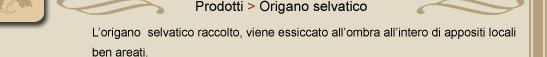 Origano selvatico